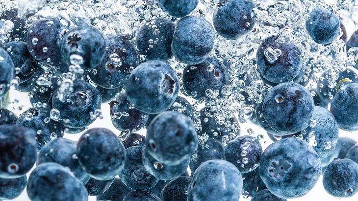 蓝莓的功效与作用禁忌人群 蓝莓如何挑选(附怎么洗才干净)