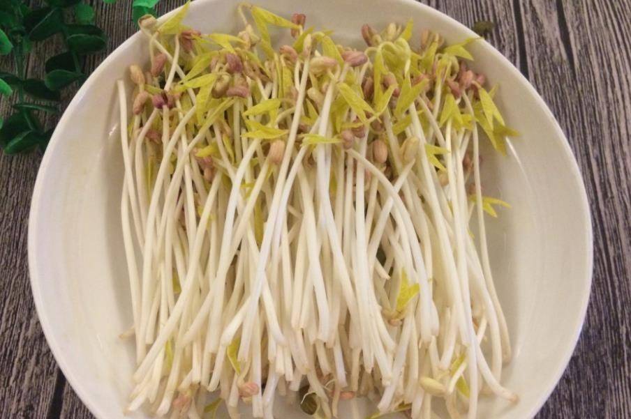 想吃豆芽不用买,这个发豆芽秘方爷爷用了大半辈子,3天就能吃_豆子