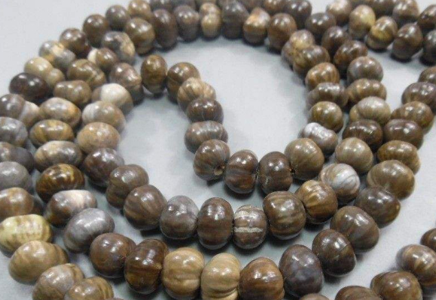 草菩提:农村人眼里不值钱的珠子,盘一盘,华丽变身为玩家的宝贝_盘玩