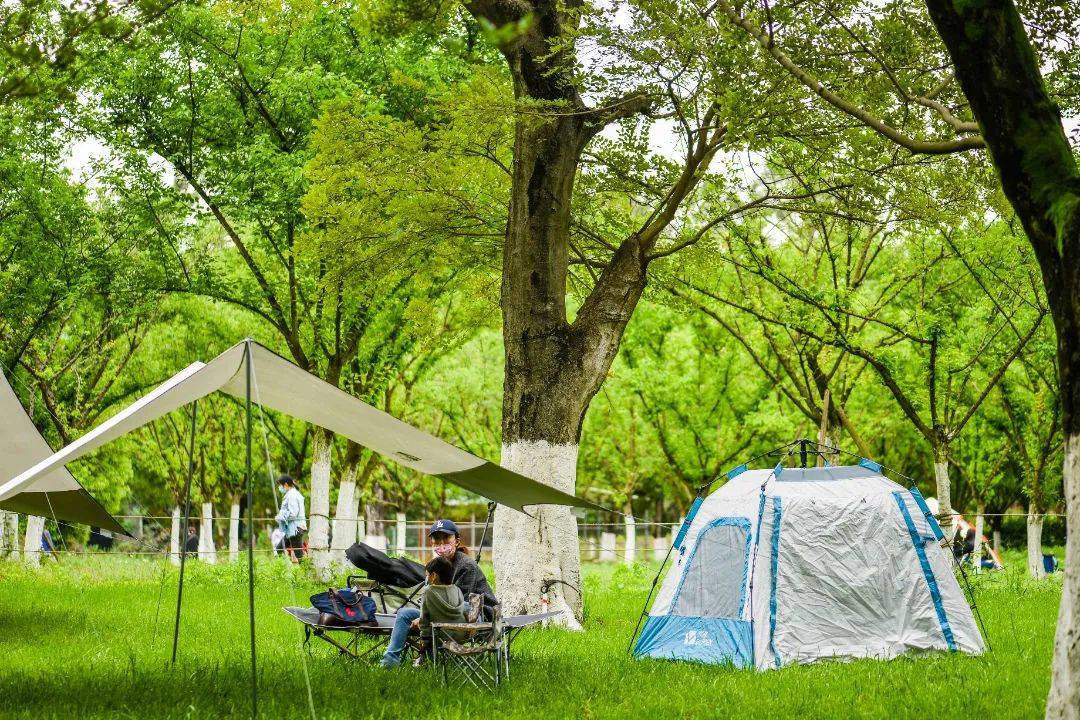 成都人免費的後花園回來了【1元搶秀麗東方遊園卡】一年內無限次入園!