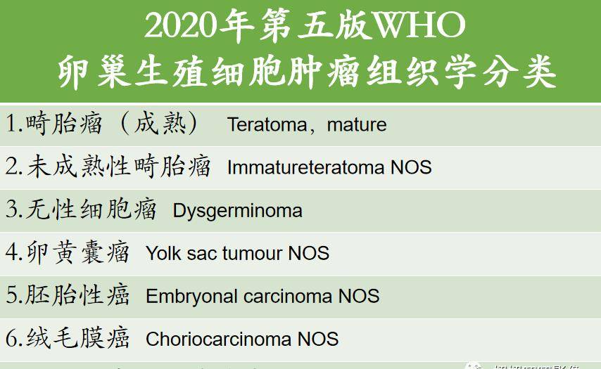 怎么知道是起源卵巢的肿瘤?_低密度_血管_腹膜