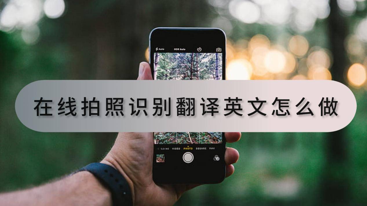 在线拍照识别翻译英文怎么做?运用工具很简单_功能_文件_支持
