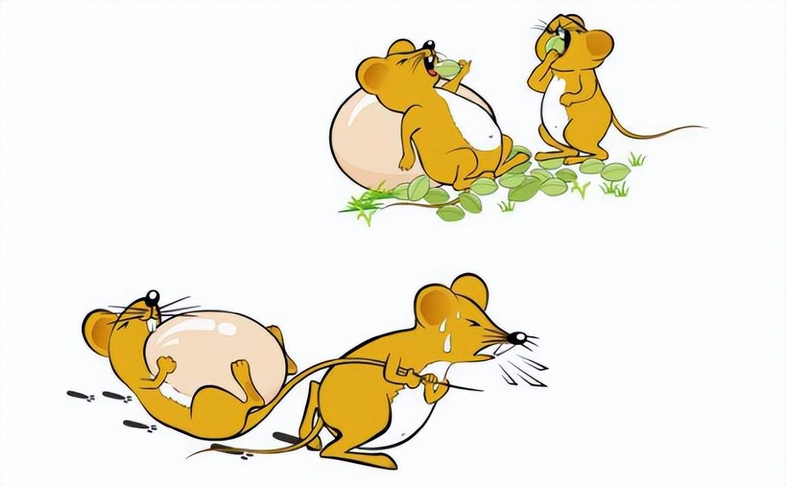 "蛇吃鼠半年,鼠吃蛇半年"?蛇即将冬眠,为何老鼠会成蛇天敌?