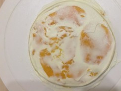 原创            芒果千层蛋糕怎么做好吃？简单做法步骤_芒果千层蛋糕做法大全（芒果千层蛋糕怎么做法）