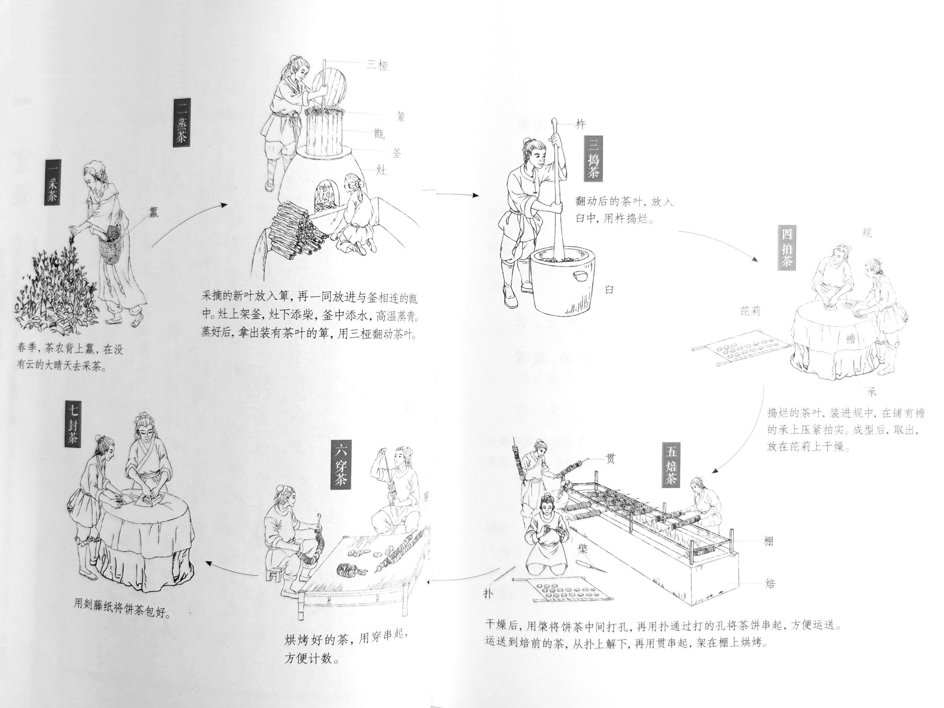 图解唐代制茶法 