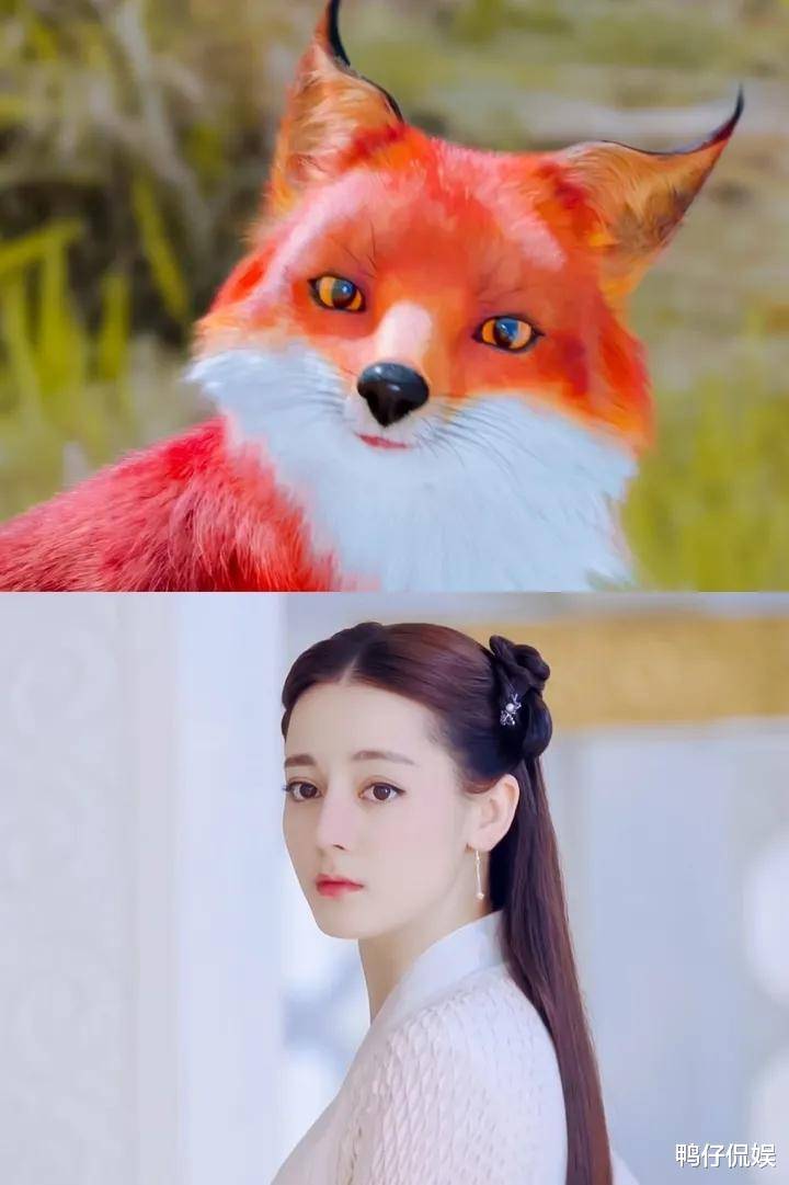 要知道狐狸也是有多种多样的,比如狐媚的苏妲己是一种,而小九这种明显