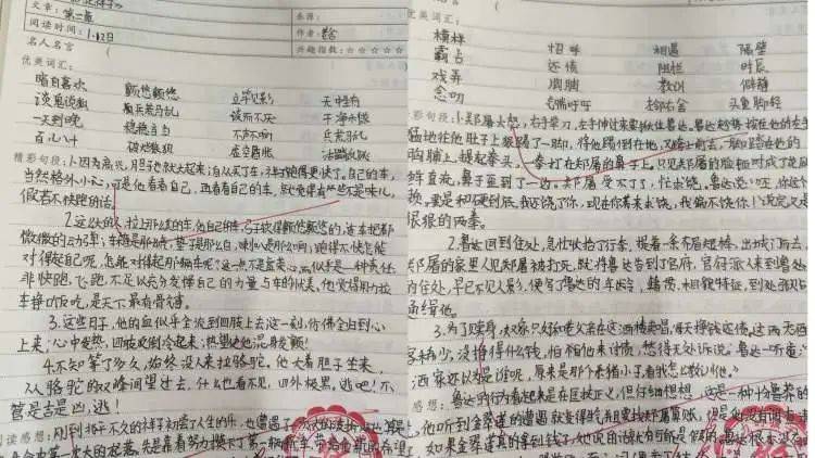 以检增效 息县第十一小学南校区5月语文教研组业务检查_教学_作业