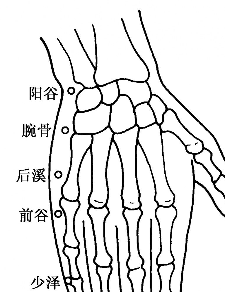 陽穀【定位取穴】手腕外側,小魚際根部,腕關節突起的骨頭和尺骨頭突起