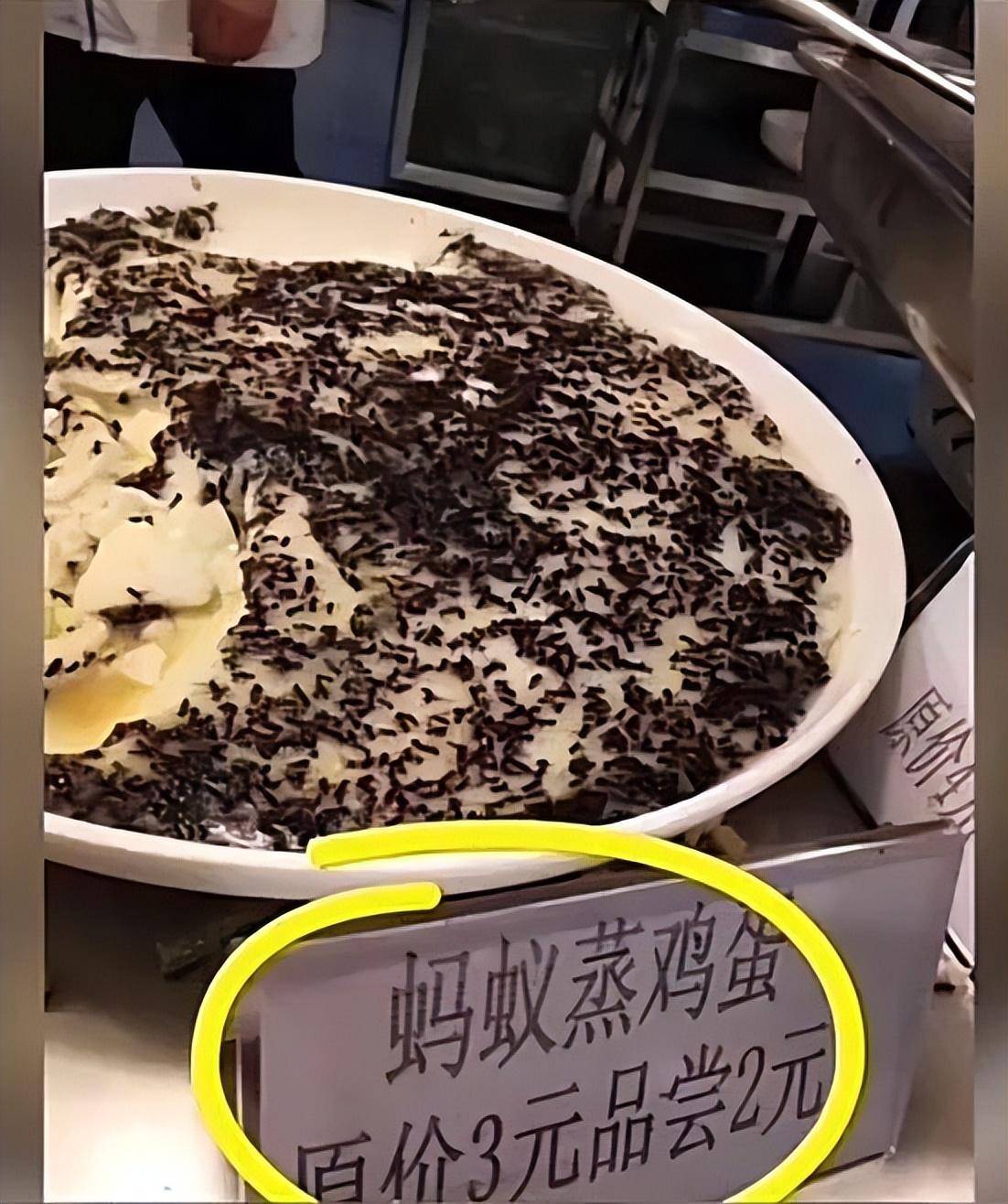 大学食堂奇葩菜大排行图片