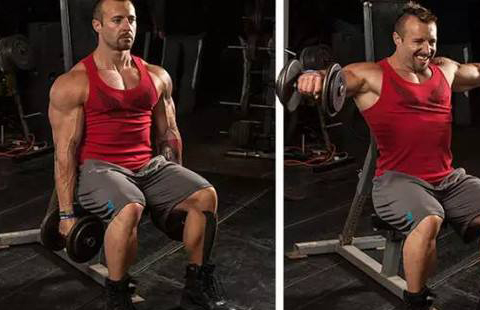 原创
            新手入门，肩部训练原理及动作详解，别以为大重量就是增肌王道4