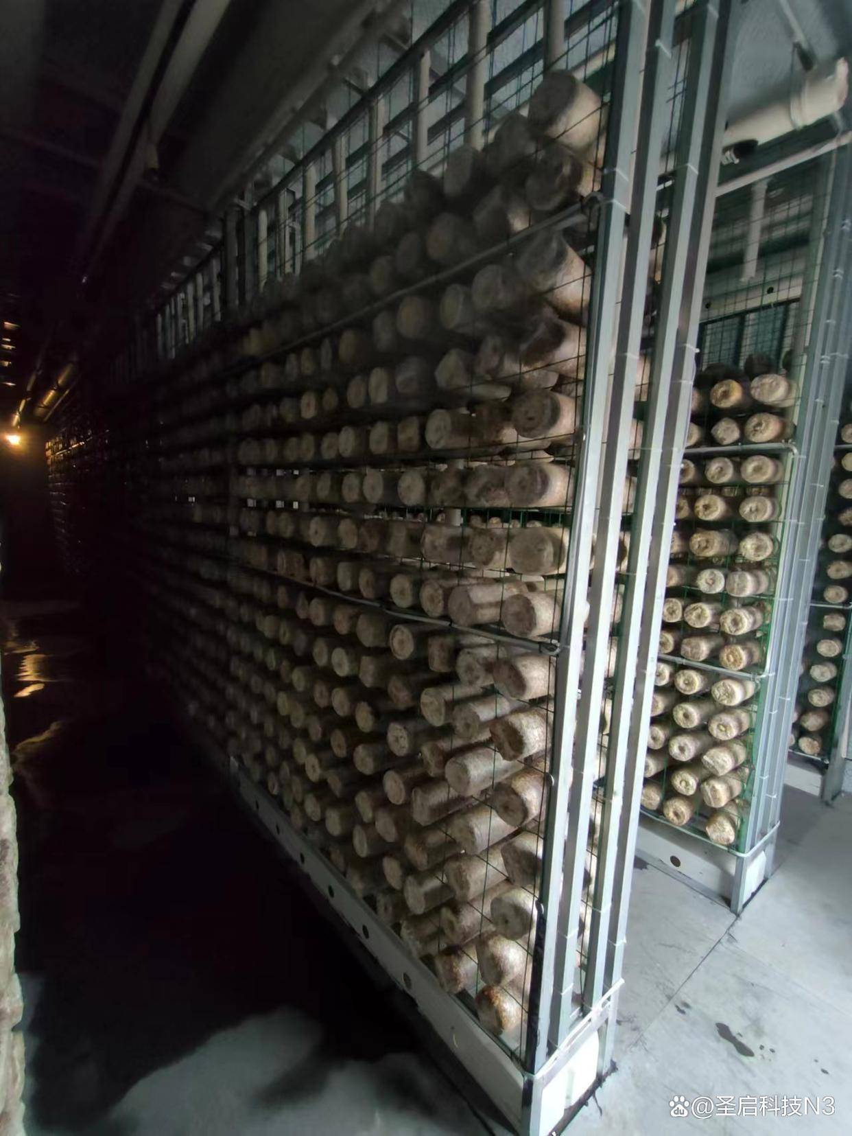 食用菌方舱出菇房,肉眼可见的收益!_批次_菌棒_环境