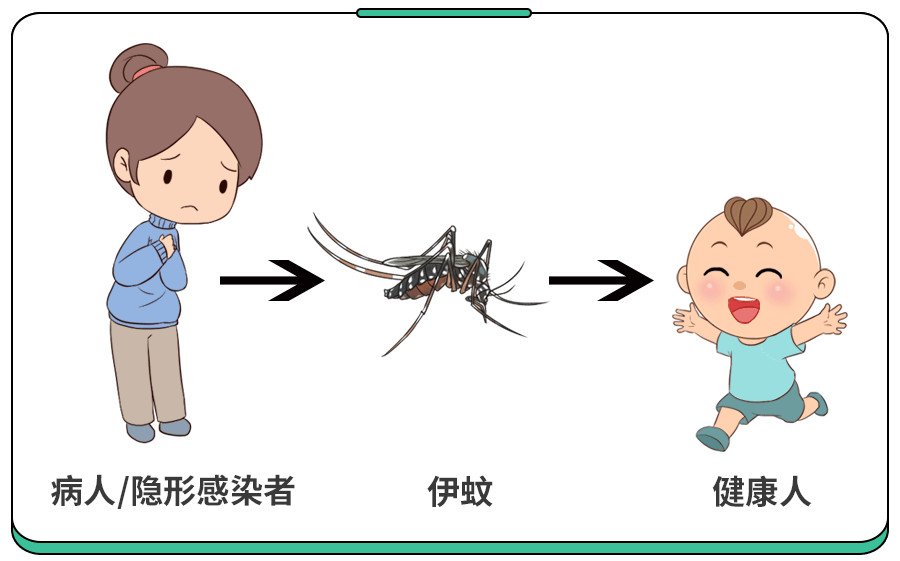 登革热与流感有什么区别？