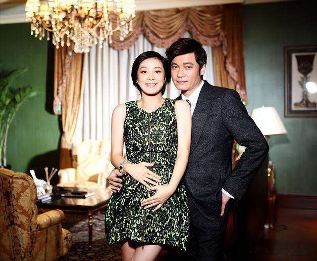 苏岩的上位故事,不简单_作品_罗嘉良_表演