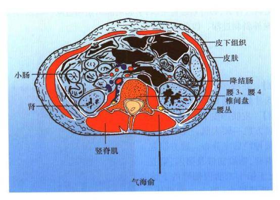 气海腧图片