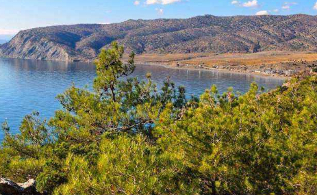 生肖鸡属鸡的人,早期一段时间受到午火克子水之局的影响,导致部分人