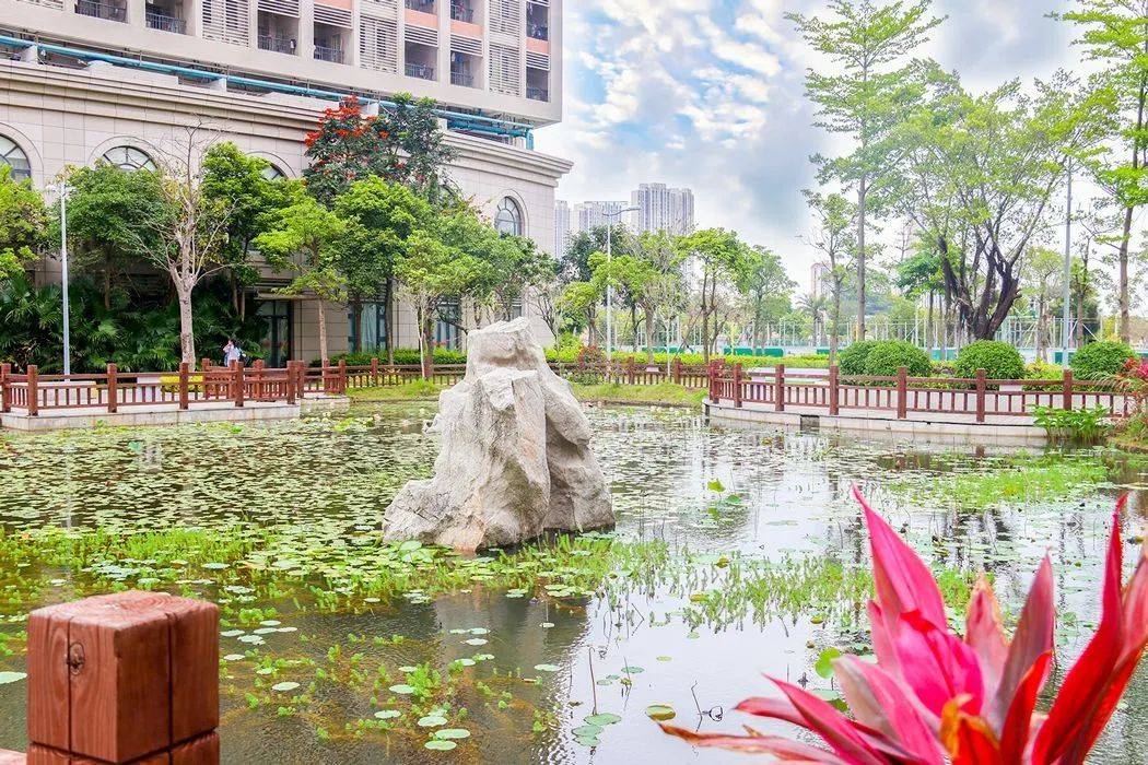 泉州五中桥南校区揭牌!_泉州市_办学_教育