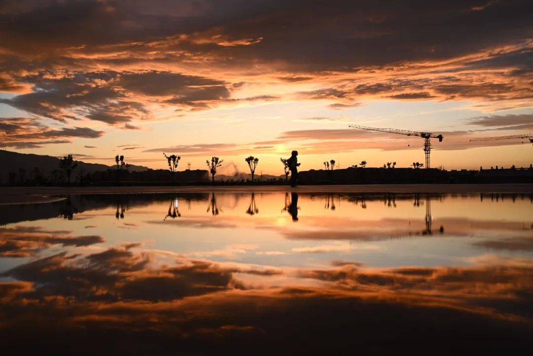 班闫_国际商学院_本科