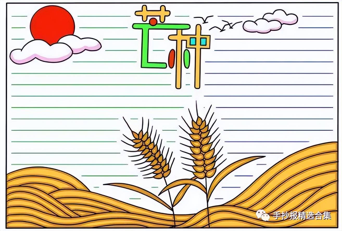 【手抄报模板图片】芒种节气在农耕上有着相当重要的意义,是古代农耕