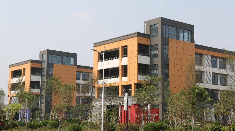 济宁市霍家街小学立国校区预计今秋投用_教育_任城区_集团