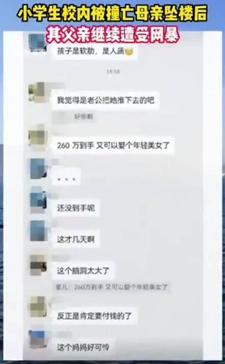 袁丽律师：校内被撞身亡小学生母亲坠楼身亡，网络暴力违法甚至犯罪！-袁丽群简历