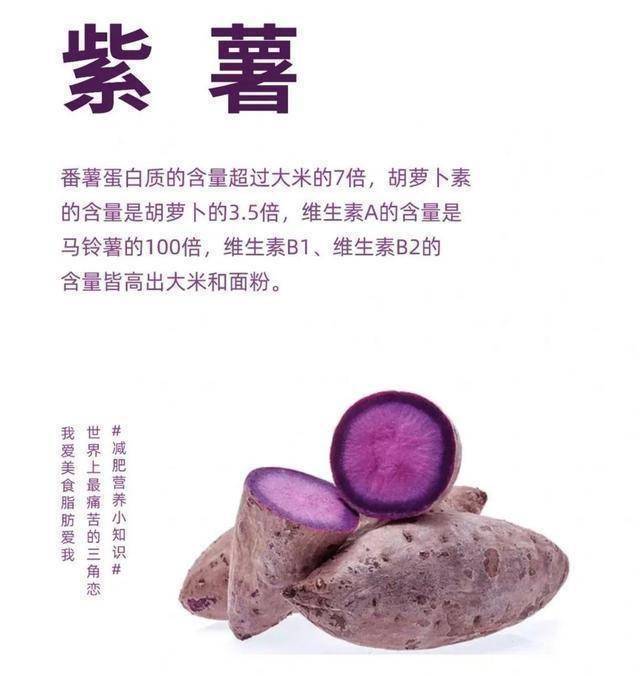 减脂健身每天懂点营养小知识紫薯（紫薯减肥餐的做法大全窍门）