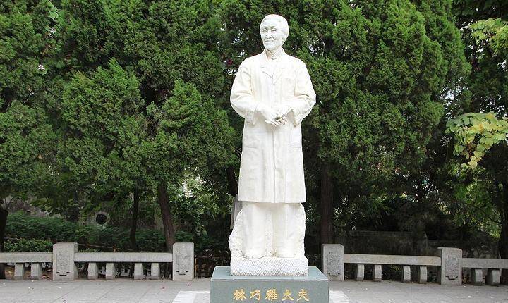 她接生过袁隆平,钟南山叫她姑婆,未曾婚育却是"万婴之母"_林巧稚_时候