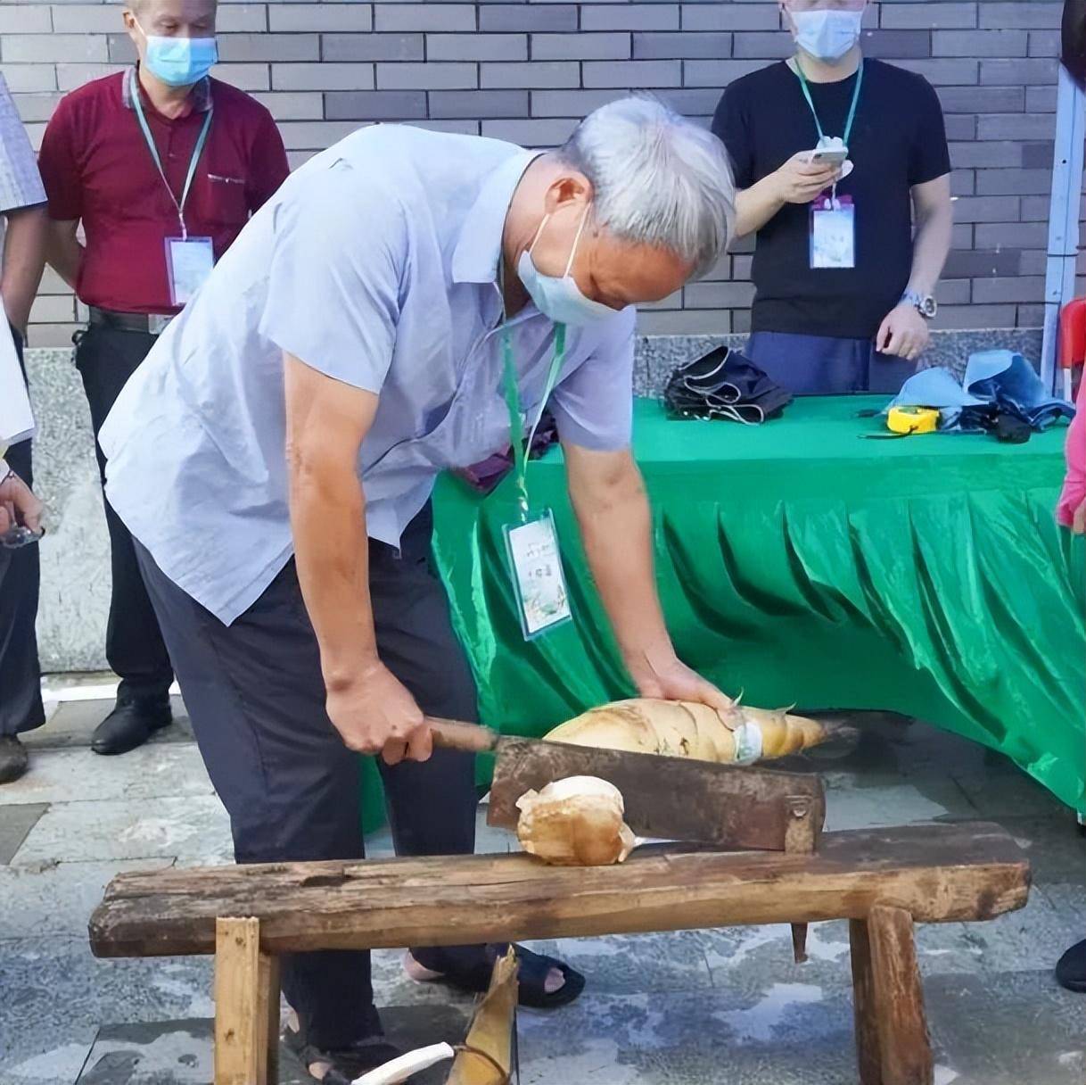 参赛者必看!_比赛_竹笋_沙口