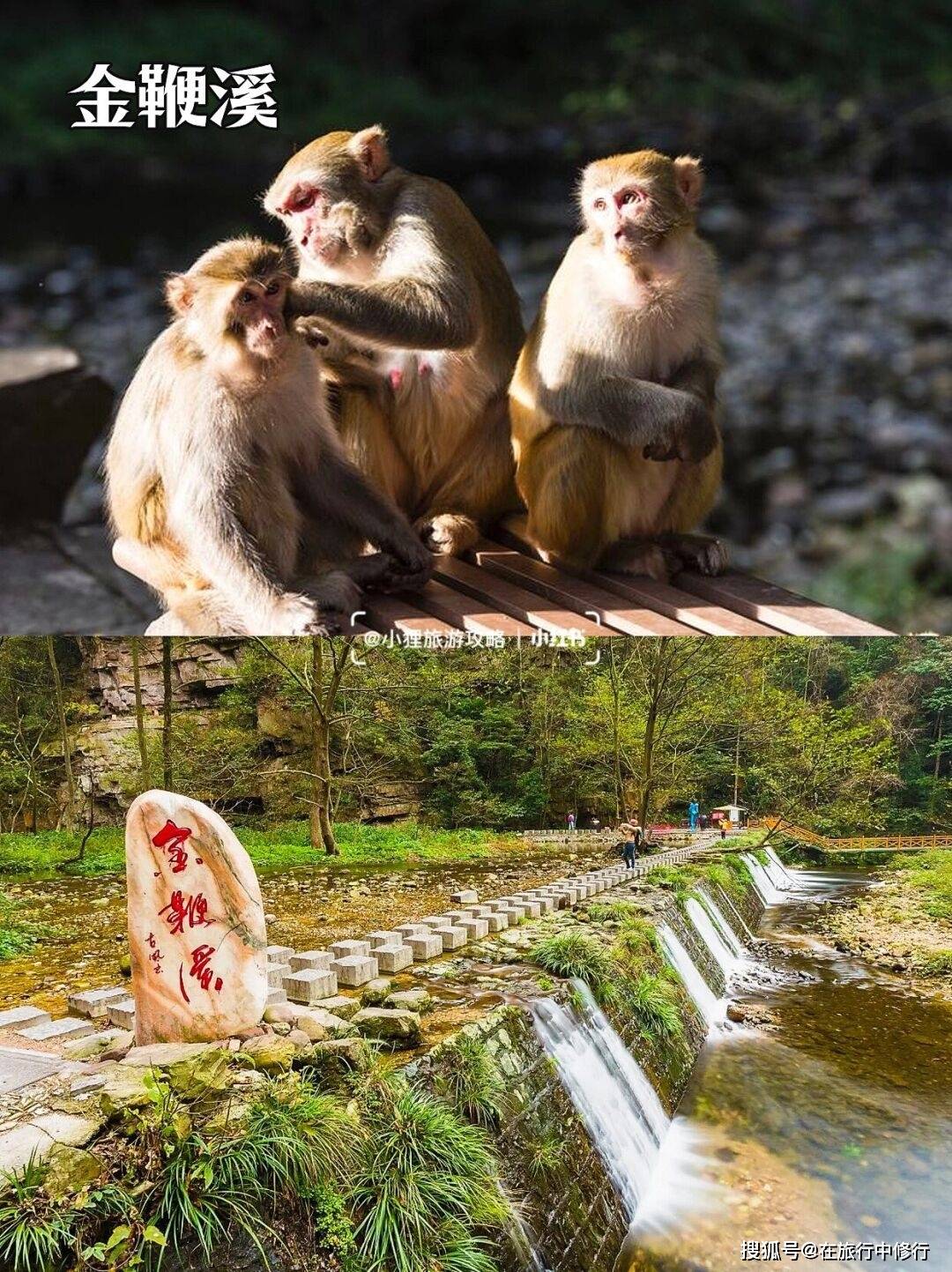 去张家界旅游五天怎么安排？需要多少钱？张家界旅游_跟团游-去张家界旅游的景点