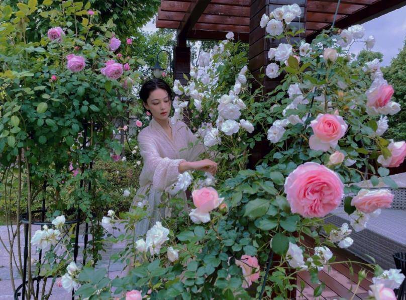 虽说看不到别墅完整的样子,但从碎片可见,张馨予的家不是一般豪华