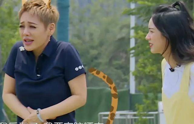 宁静说话真不讨人喜欢,这样算真性情?节目刚开始她就语出惊人