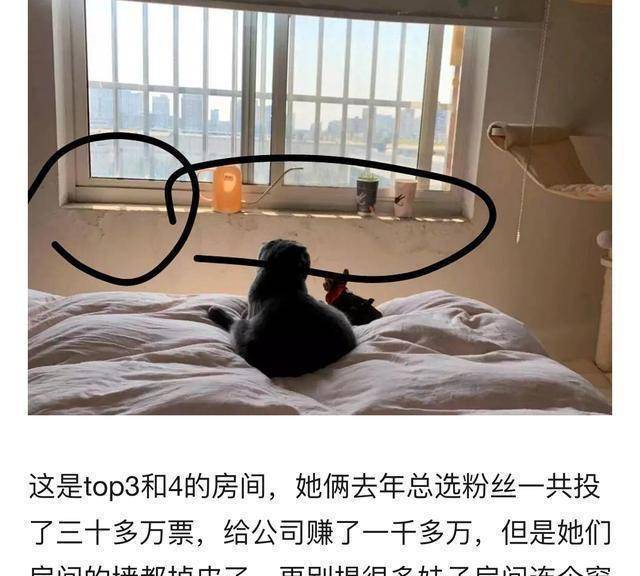 snh48组合26岁偶像是在职护士,坚持6年白天上班晚上公演_陈佳莹_工资