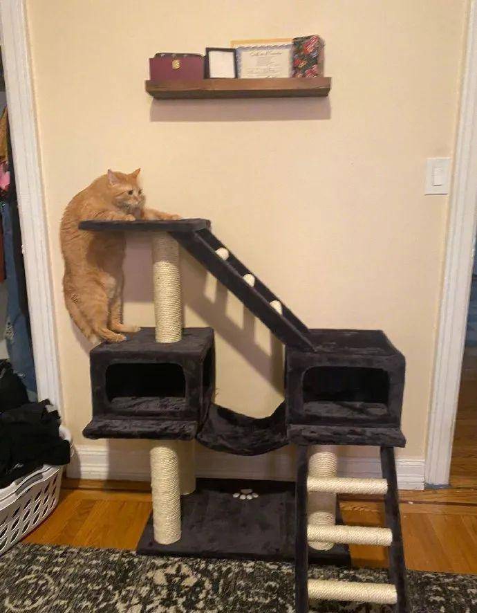 看帅哥_学长_妈妈_本人