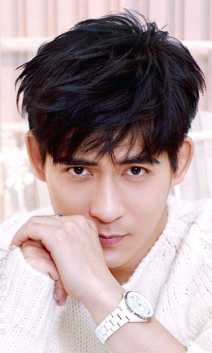 《野鸭子》6,张桐代表作:《锦绣未央》,《鹤唳华亭》5,罗晋代表作