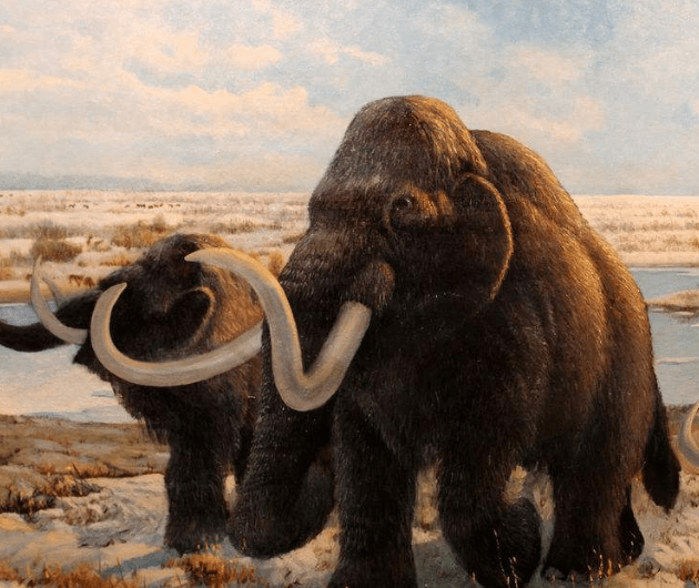 冰河世纪大型动物猛犸象,灭绝后,不是不可能复活,而是不敢复活_人类