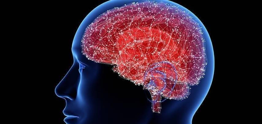 试验研究证明:新的治疗方法有望恢复帕金森病患者受损的大脑细胞_临床