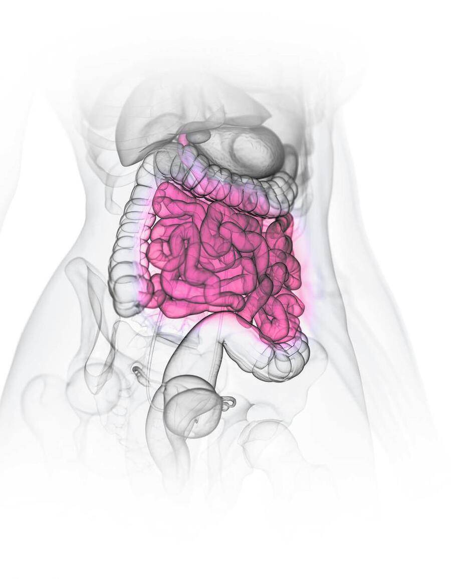 小肠梗阻的诊断与非手术治疗_导管_患者_腹部
