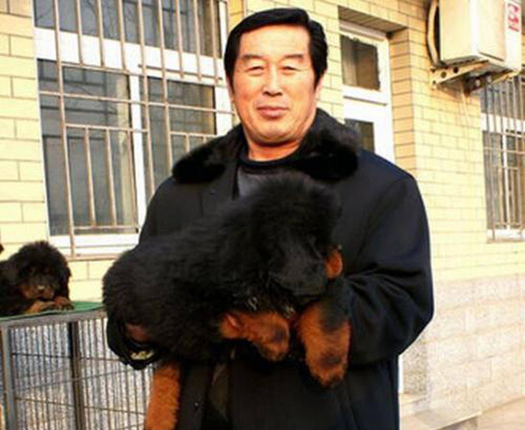 曾经一只4000万,如今便宜到成为饭馆菜品_藏獒_价格_马俊仁