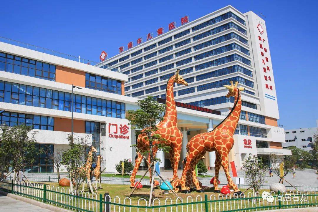 东莞石龙火车站和第八人民医院接力救助香港市民