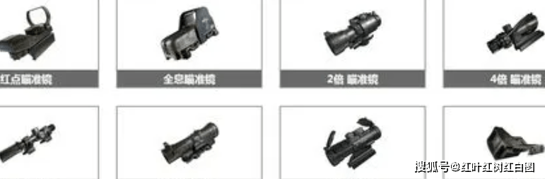 松茸是野生的还是人工种的【荒野行动直装chaeter】