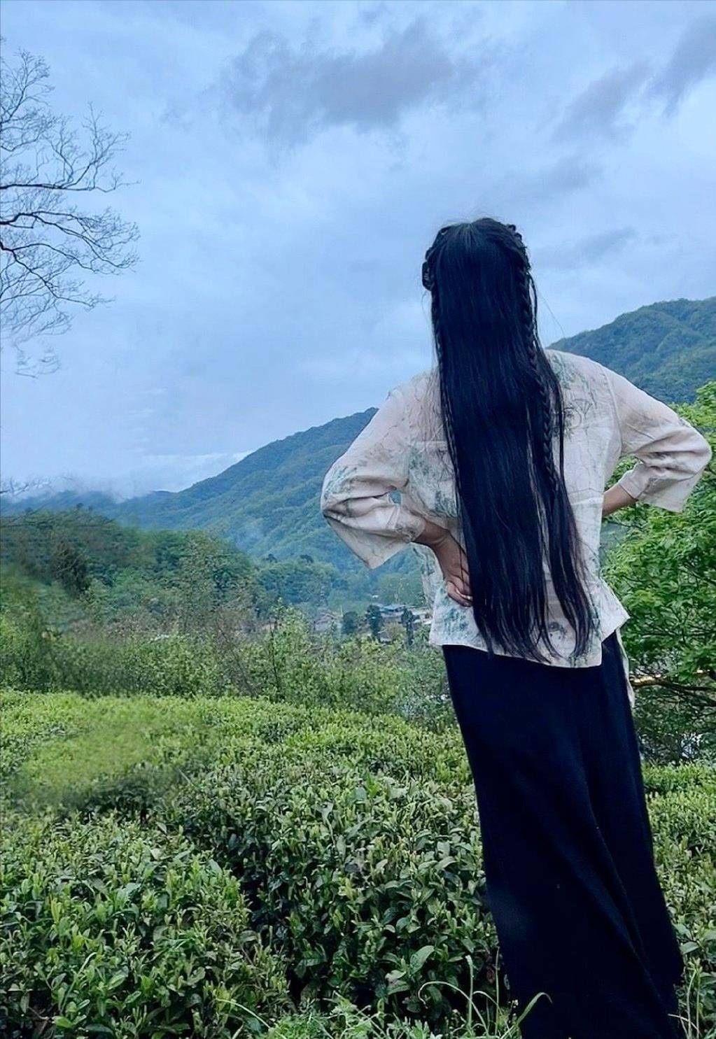 刘畊宏商务合作一天一个价,网传称其一条策划收入高达1700万_李子柒