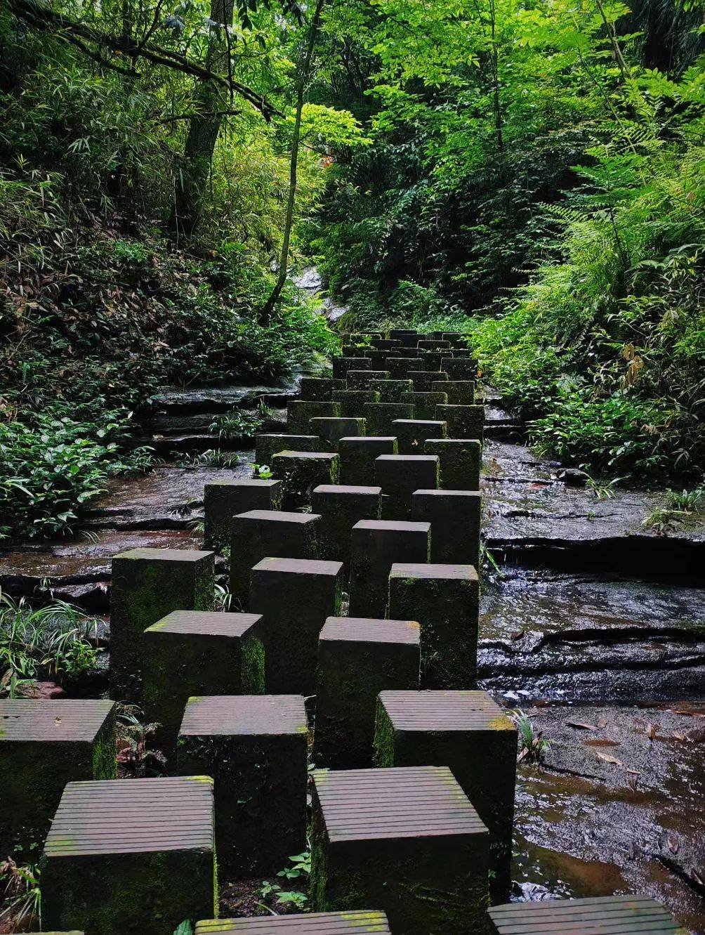 看看古木参天,听听泉水叮咚,这里就是玉屏山生态度假区