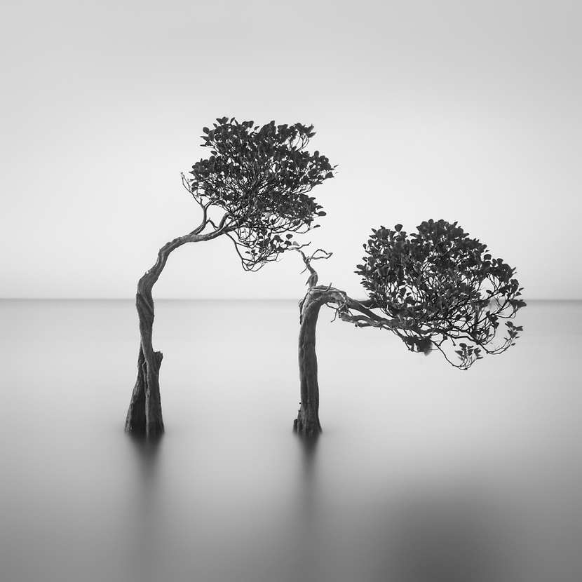 黑白极简最美风景摄影-带你脱离繁杂的日常!_黑白画面_对比_hengki