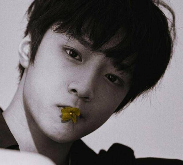 为什么现在会有粉丝黑刘耀文了?_朱志鑫_舞台_身高