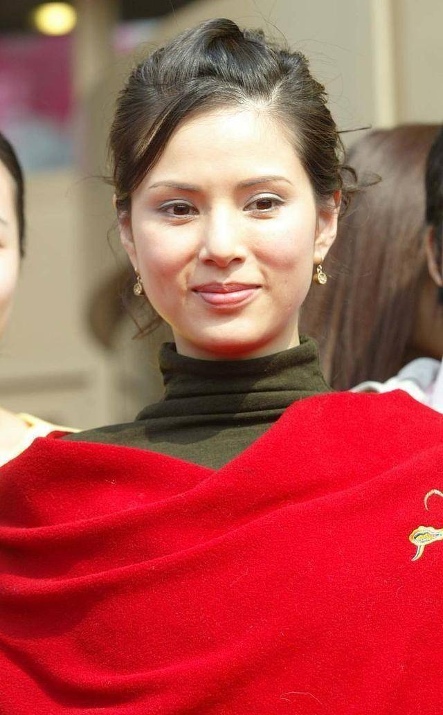 神雕侠侣》,圆梦个人"神雕"情结同时,能否重新经典_杨过_影响_李若彤