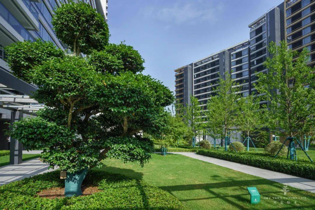 天空院子实景图有人说,是陪着朋友去收房,然后看着对方各种嘚瑟的时候