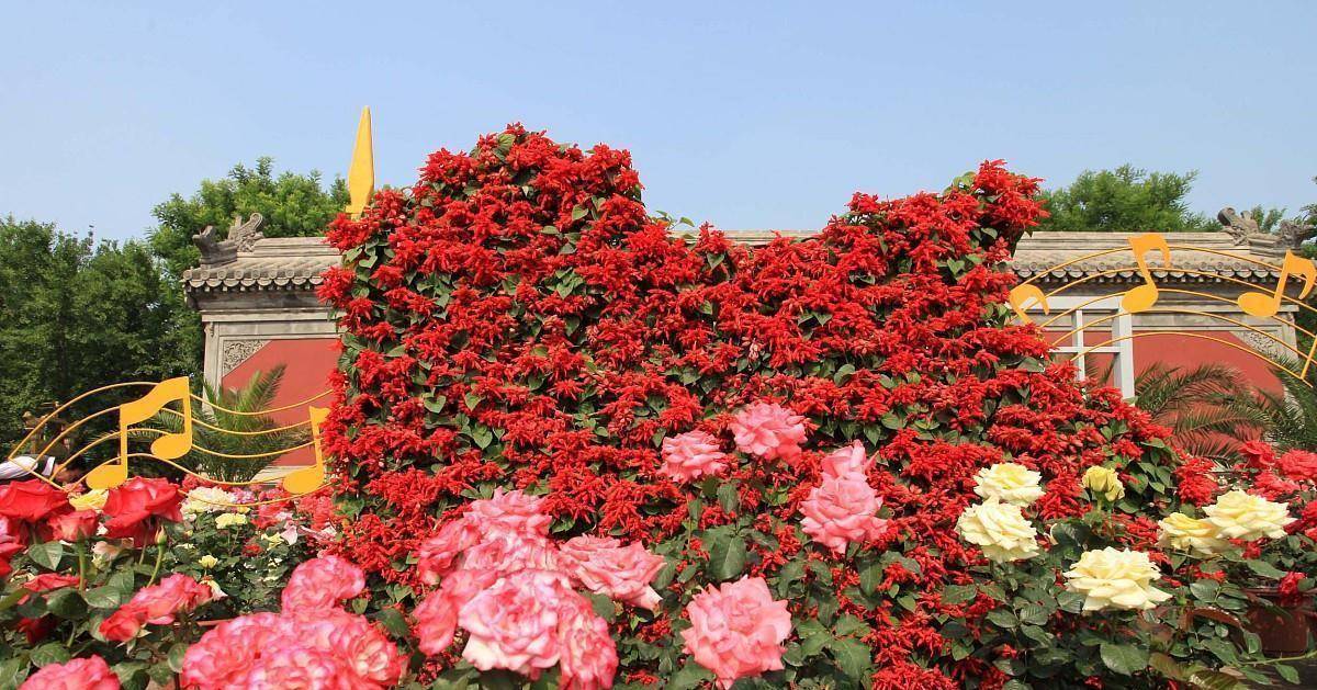 原创            一程相伴，一生思念，梦里是你，梦外是你-一程相伴,一生相念