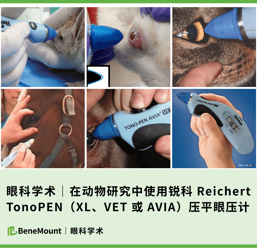 在动物研究中使用锐科 reichert tonopen(xl,vet 或 avia)压平眼压计