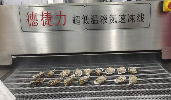 德捷力液氮速冻机为生蚝行业注入新动力_冷冻_技术_保鲜