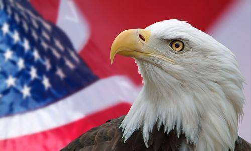 美国:白头鹰澳大利亚的国宝估计很多人都是知道的,也就是袋鼠.