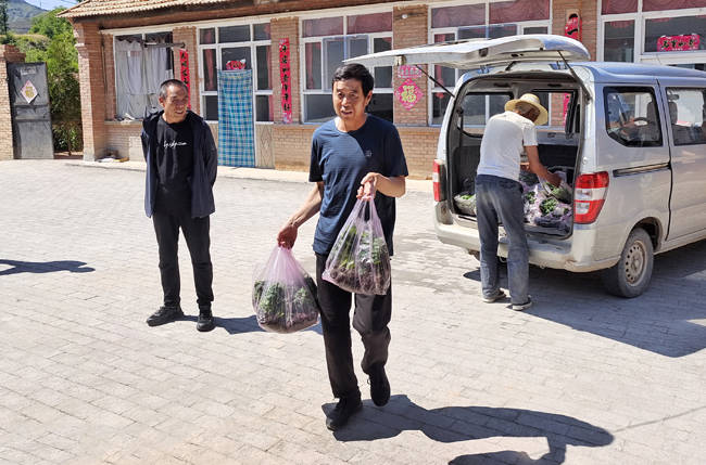 盂县西烟镇:发放暖心菜苗 助力庭院经济_村民_西红柿_上文